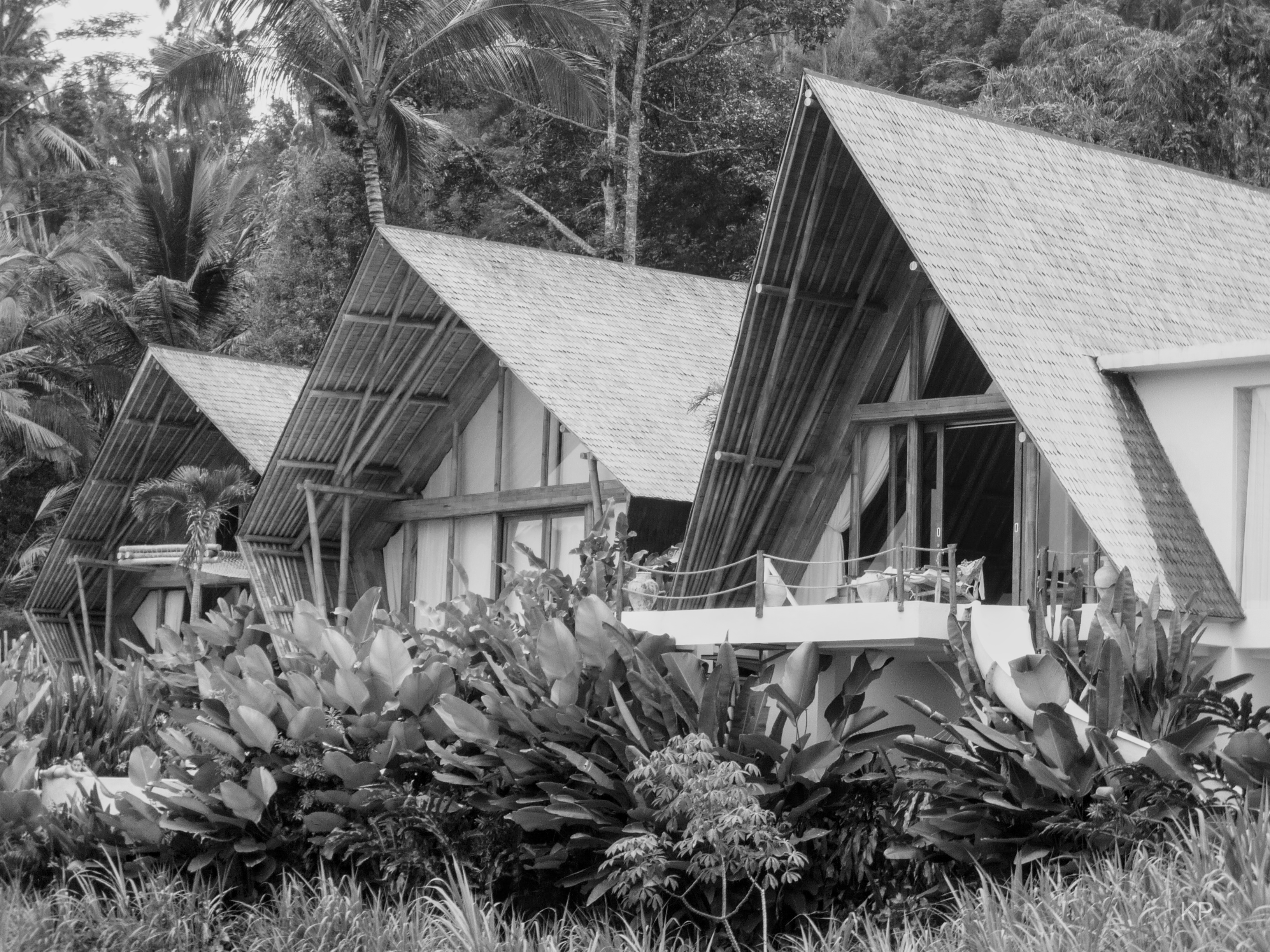 Maisons sur les rizières